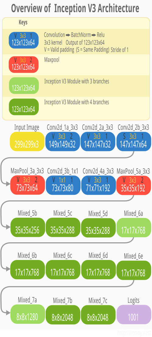 Image of Inception V3 architecture